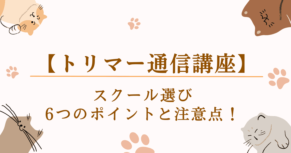 【トリマー通信講座】を選ぶための6つのポイントと注意点を解説