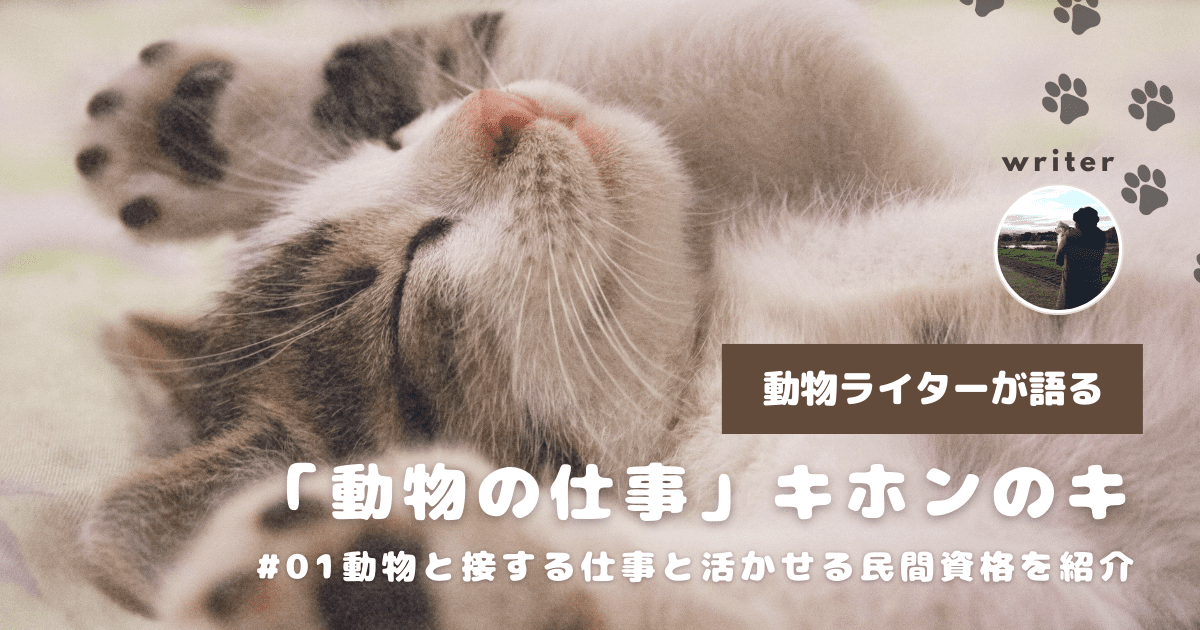 動物と接する仕事と活かせる民間資格を紹介。ペット業界への就職や愛犬・愛猫のケアに役立つ知識を身につけよう