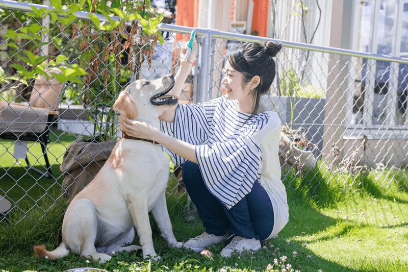 女性と犬